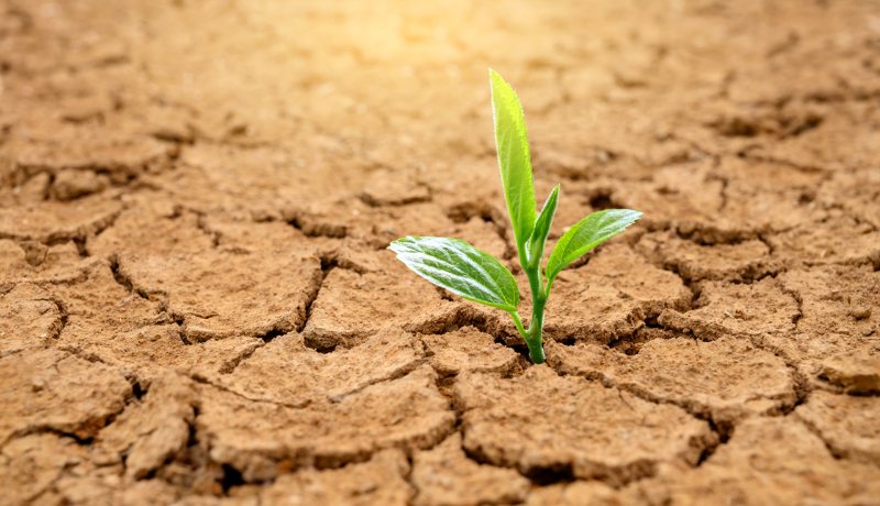 S10-E1: Why Did God Plant Me Here?