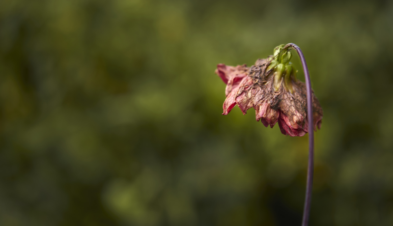 S10-E9: When Effort Stops Working