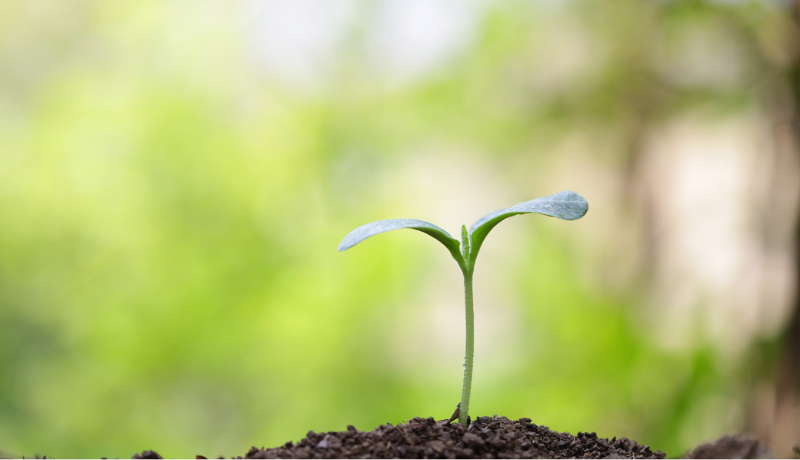 S11-E2: Nurturing New Beginnings