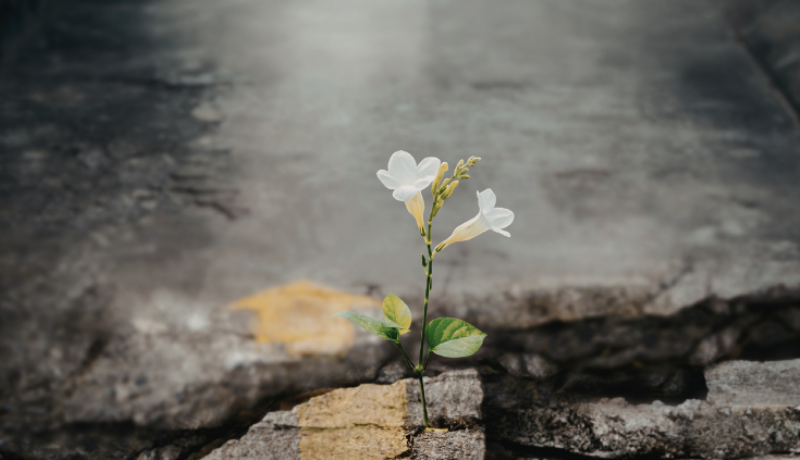 S12-E9: Encore: What Are We Missing? A Journey to Noticing God in the Everyday