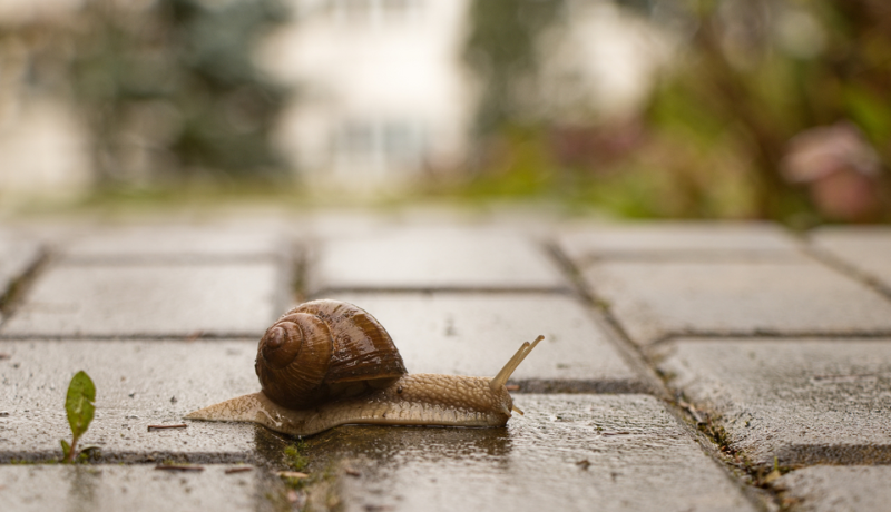 S7-E9: The Surprise of Slow Productivity