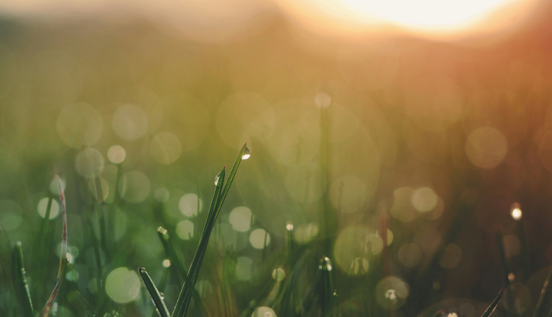 S9-E1: Breaking the Hurry Habit