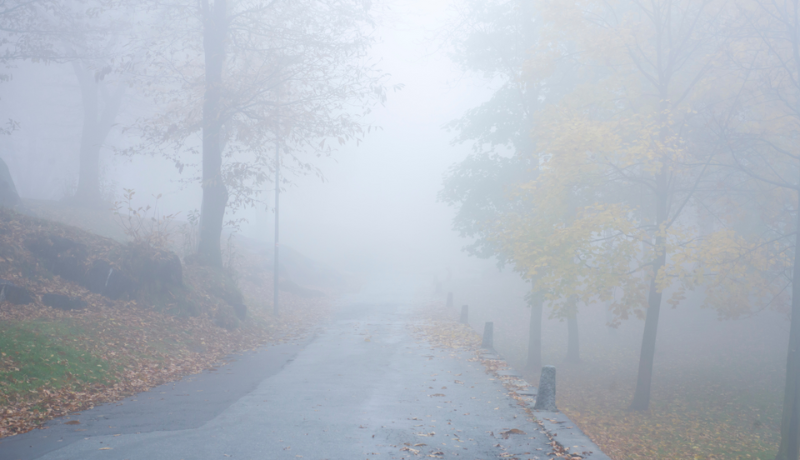 S5-E5: When the Way Is Unclear