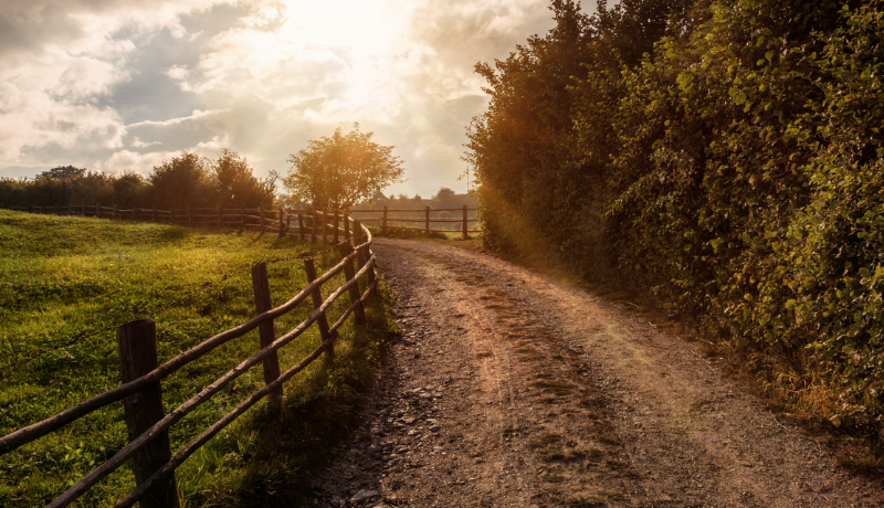 S6-E3: The Journey Starts Here